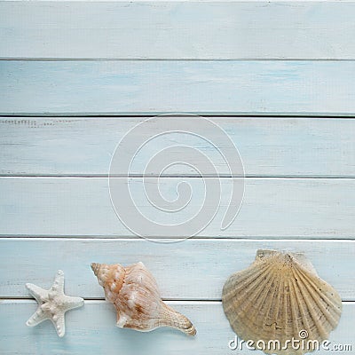 Sea â€‹â€‹shells, anchor, blue cord, white fishing net, starfish, pebbles on a white wooden background with place for text, Stock Photo